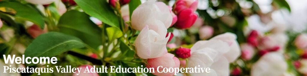 PVAEC - Piscataquis Valley Adult Education Cooperative image #6494